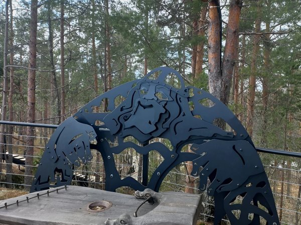 По сказочной Карелии — из Петрозаводска - фото 3