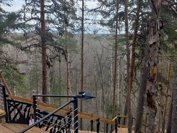 По сказочной Карелии — из Петрозаводска - фото 4