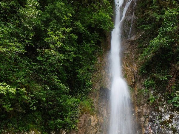 Озеро Рица, Гегский и Молочный водопады — джип-тур по горной Абхазии - фото 3