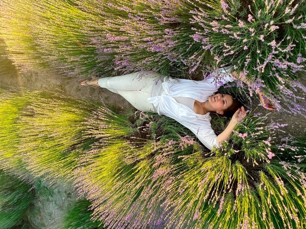 Солнечное Семигорье: от лаванды до альпак! - фото 3