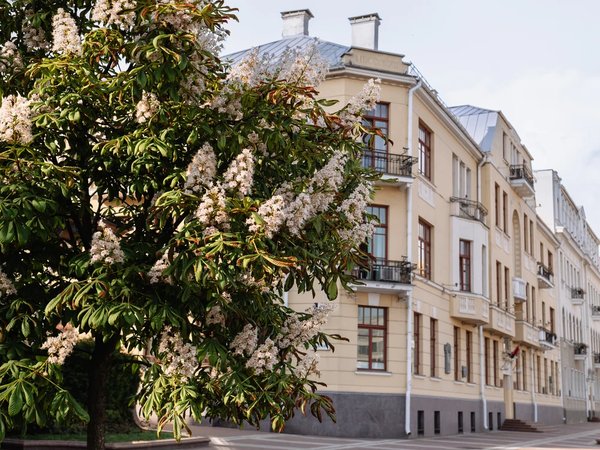 Влюбиться в Минск за пару часов: главные места и интересные истории - фото 4