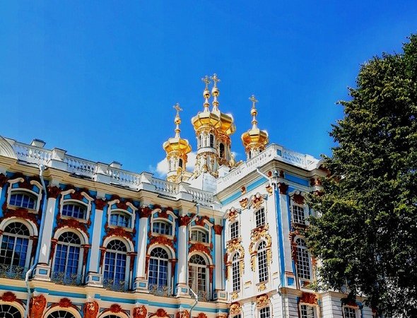 Поиск клада в Царском Селе