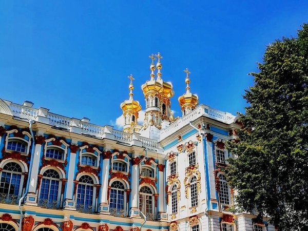 Поиск клада в Царском Селе - фото 1