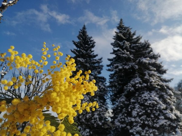 Поиск клада в Царском Селе - фото 4