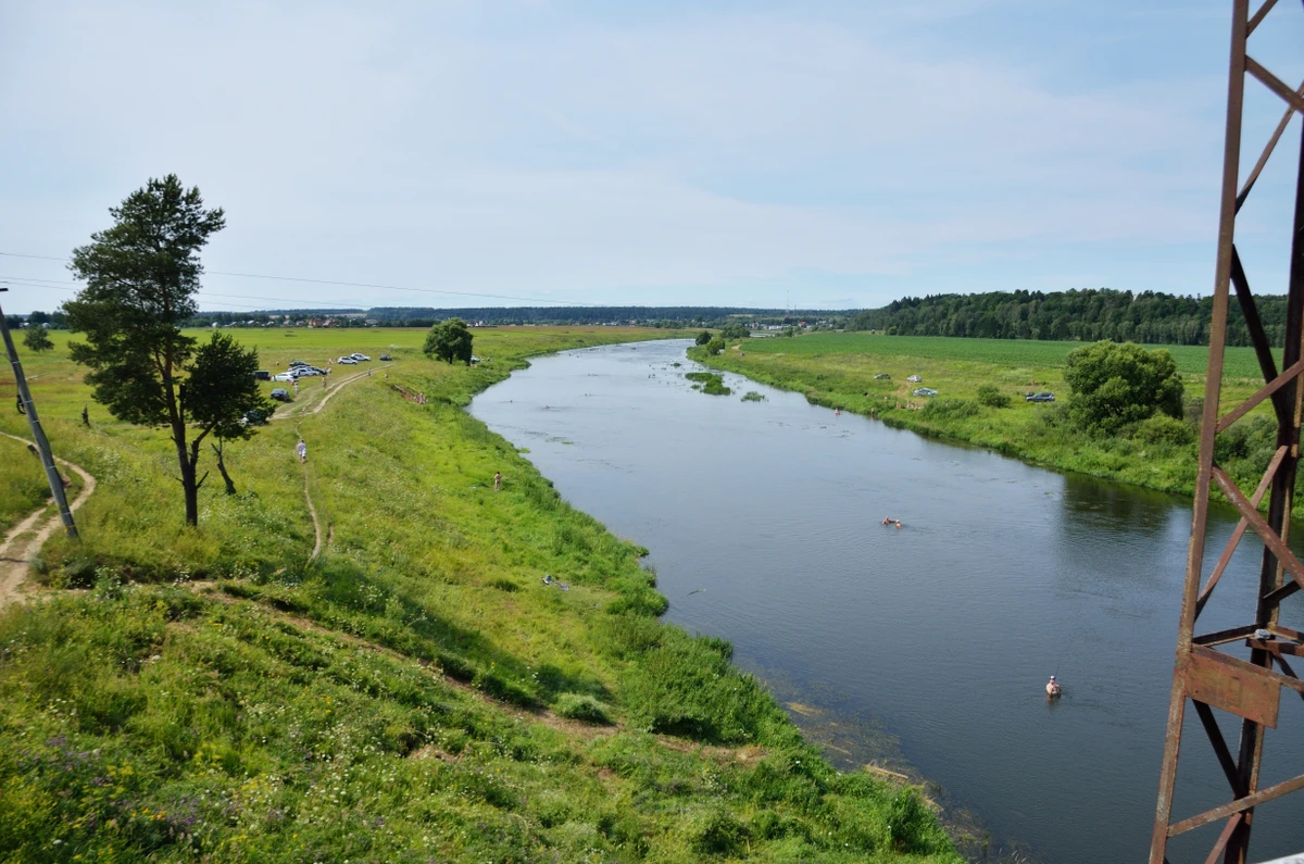 Необычные музеи под Звенигородом: где кот мурлычет, а дуб угощает. - фото 2