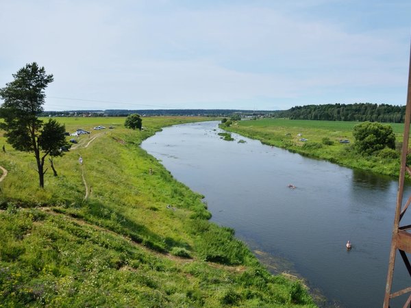 Необычные музеи под Звенигородом: где кот мурлычет, а дуб угощает. - фото 2