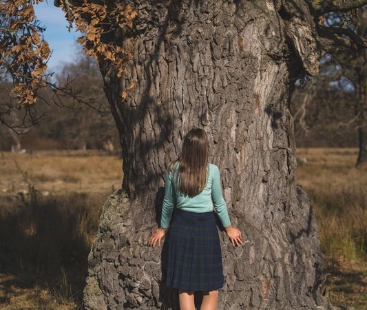 Необычные музеи под Звенигородом: где кот мурлычет, а дуб угощает.