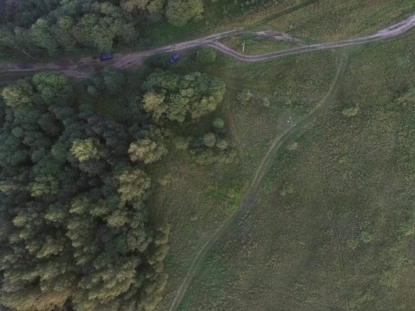Необычные музеи под Звенигородом: где кот мурлычет, а дуб угощает. - фото 3