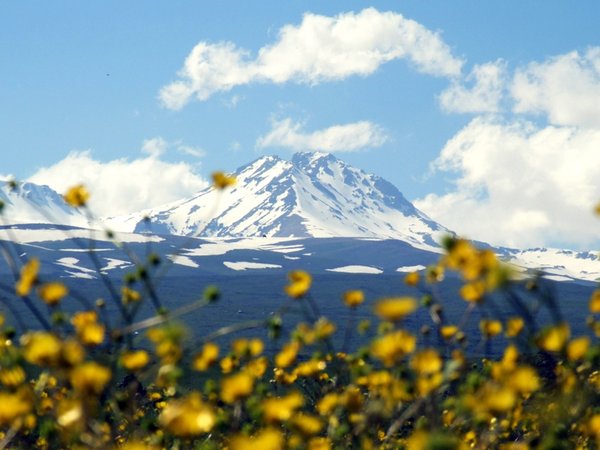 Гора Арагац и монастырь Сагмосаванк из Еревана