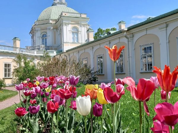 Ораниенбаум: взлёты и падения - фото 2