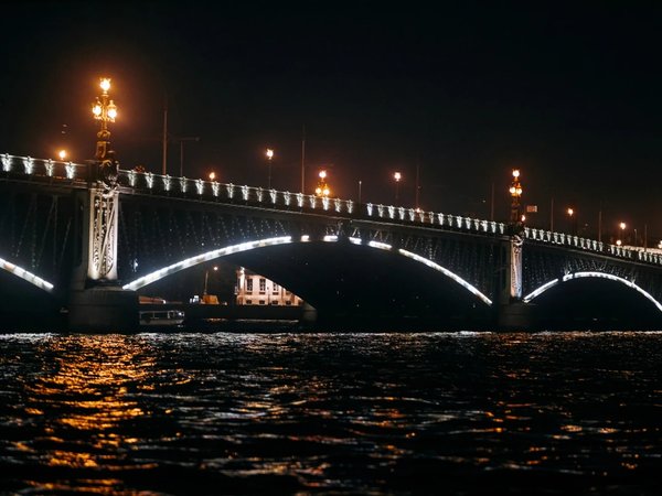 К разведённым мостам Петербурга — через порт - фото 4