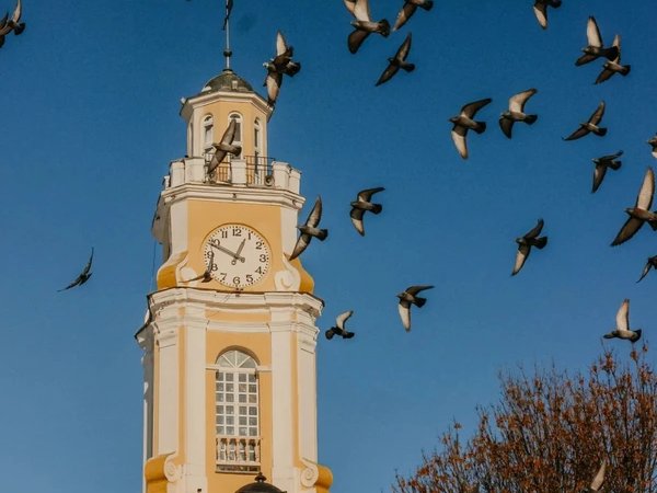 Прогулка по сердцу Витебска