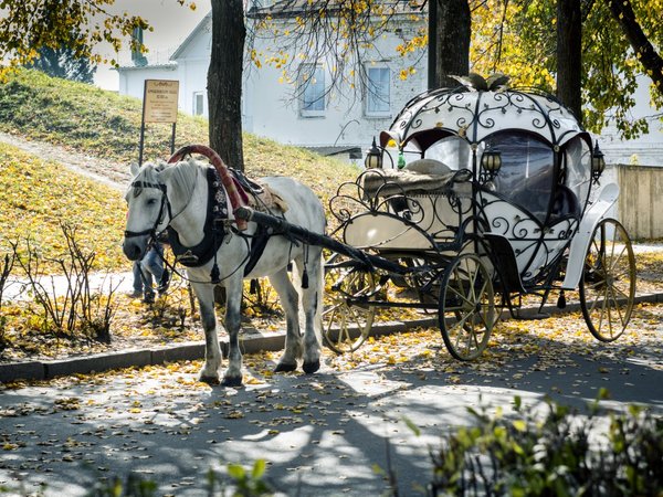 Средневековый Суздаль: любовь с первого взгляда - фото 3