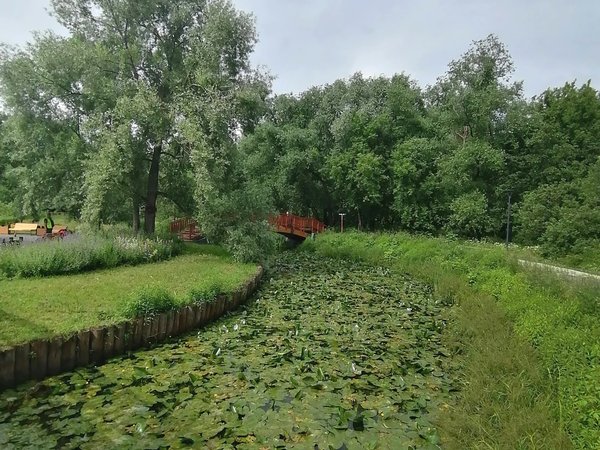 Романтика и экология усадьбы Свиблово в Москве - фото 4