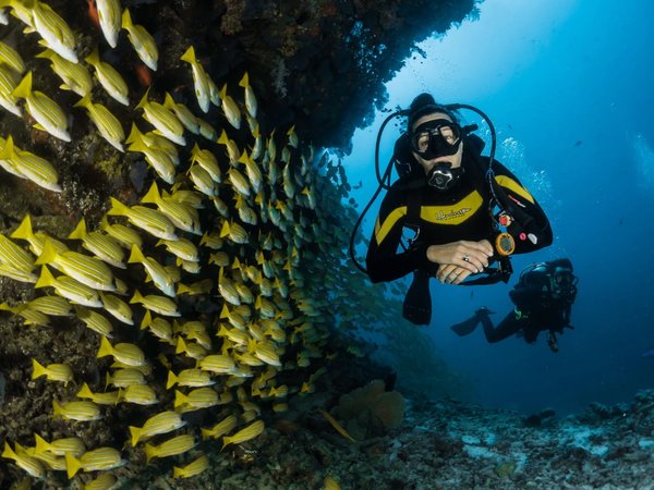 Путешествие в глубины моря: дайвинг в Аланье - фото 2