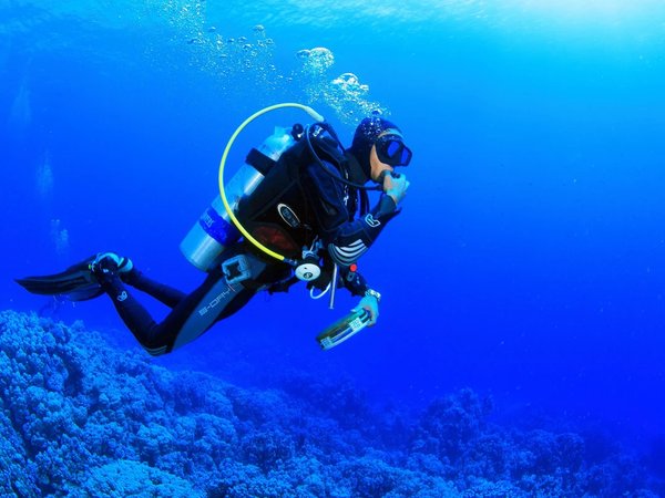Путешествие в глубины моря: дайвинг в Аланье - фото 4