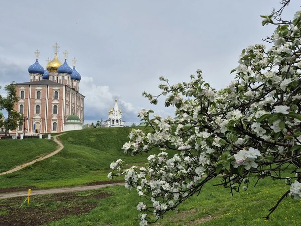 Всё о Рязани в самом сердце города (в группе) - фото 2