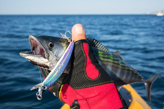 Фото экскурсии - Рыбалка на Черном море в Сочи с жареной рыбой - 4