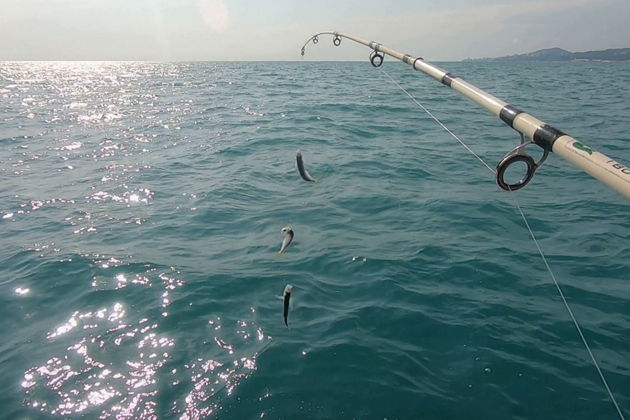 Фото экскурсии - Рыбалка на Черном море в Сочи с жареной рыбой - 8