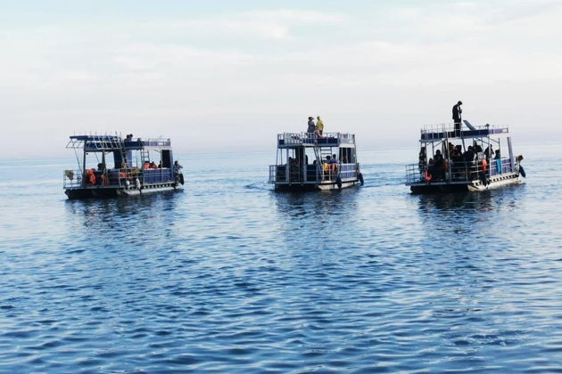 Фото экскурсии - Рыбалка на Черном море в Сочи с жареной рыбой - 13