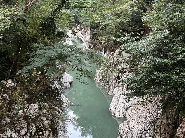 Такой разный Сочи: водопады, ущелья и чайные плантации (из Сочи) - фото 3