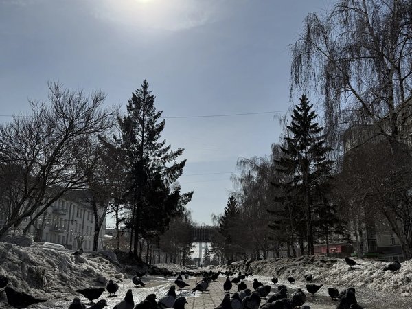 Самые удивительные места Новосибирска: мосты, дома и улицы за 1,5 часа - фото 3