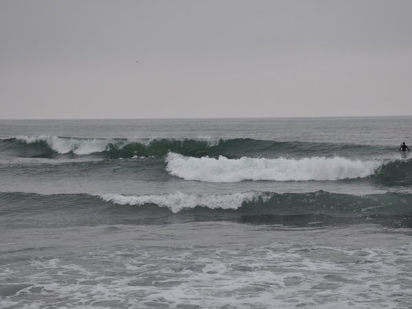 От сопки до океана: красивейшие окрестности Петропавловска-Камчатского - фото 3
