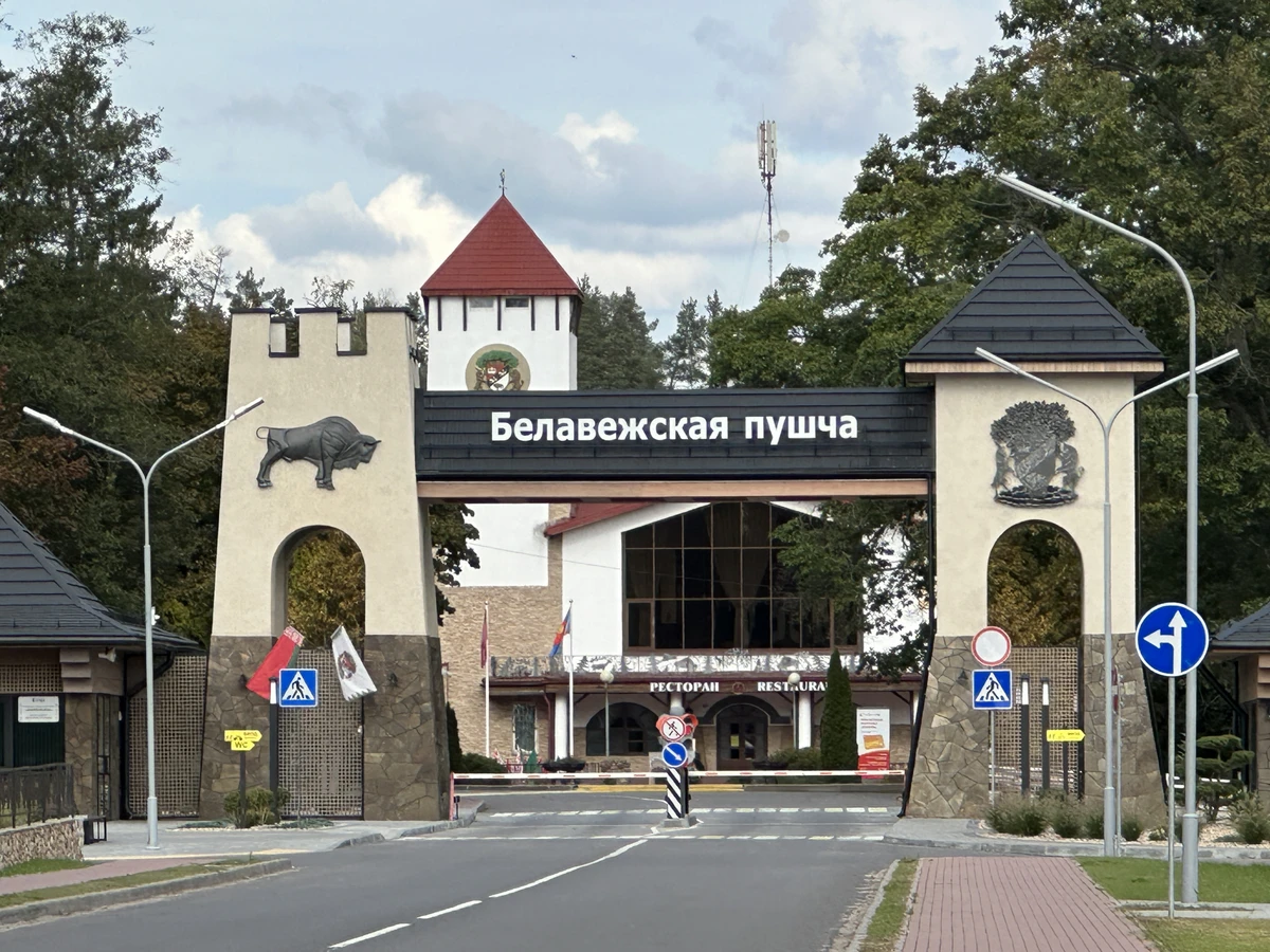 Трансфер из Бреста в Беловежскую пущу и Каменец