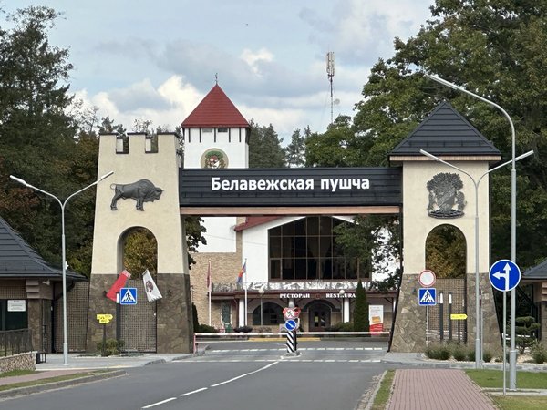 Трансфер из Бреста в Беловежскую пущу и Каменец