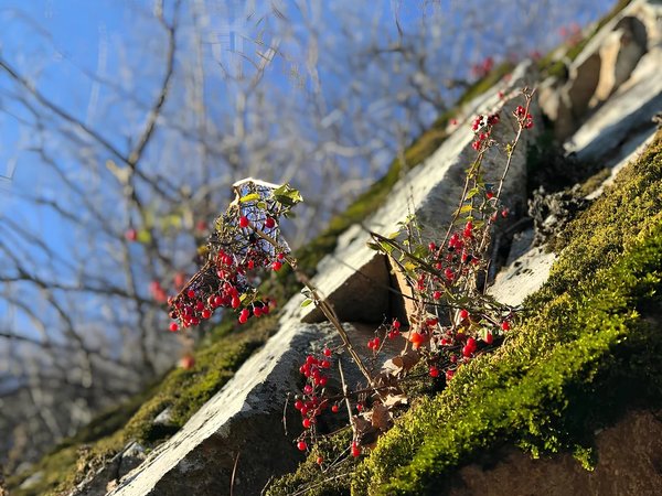 Туда и обратно: восхождение на гору Железная (из Железноводска) - фото 3