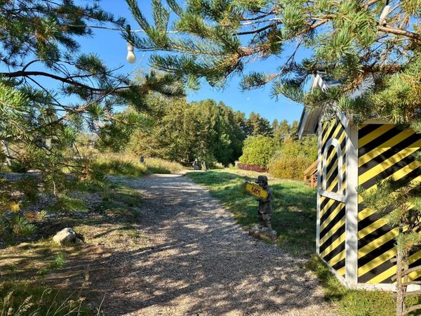 Из Петрозаводска — в карельские деревни Киндасово, Кинерма, Рубчойла - фото 3