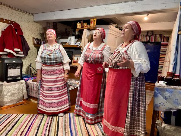 Из Петрозаводска — в карельские деревни Киндасово, Кинерма, Рубчойла - фото 4