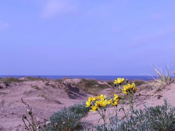 Архангельск, Северодвинск и Белое море за 1 день - фото 3