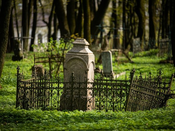 Жизнь и смерть в Смоленске: прогулка по кладбищу возле костёла - фото 2