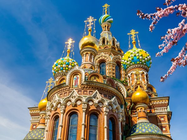 Автобусная экскурсия по Петербургу с посещением Эрмитажа (всё включено) - фото 2