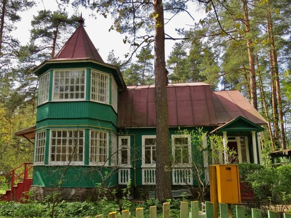 Большая прогулка по Комарово