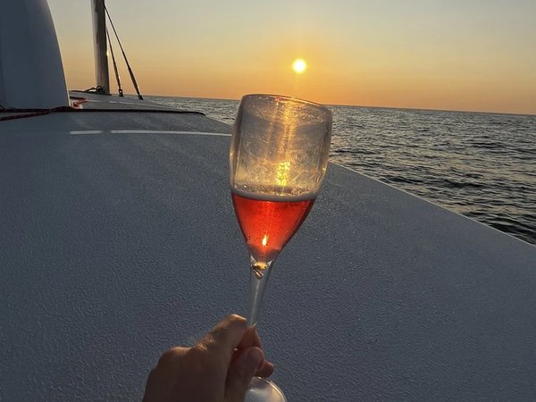 Дельфины, яхта и фотосессия — морская прогулка в Сочи - фото 3