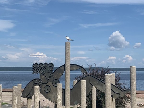 Петрозаводск — от памятника основателю до тайги - фото 3