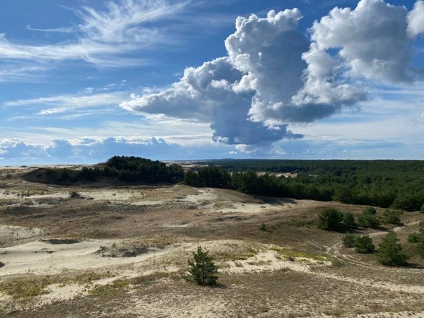 Куршская коса и Зеленоградск: природная граница двух миров - фото 4