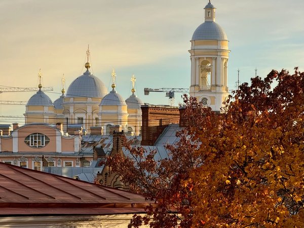 Петербург для жаворонков, или Утренняя прогулка по Петроградской стороне