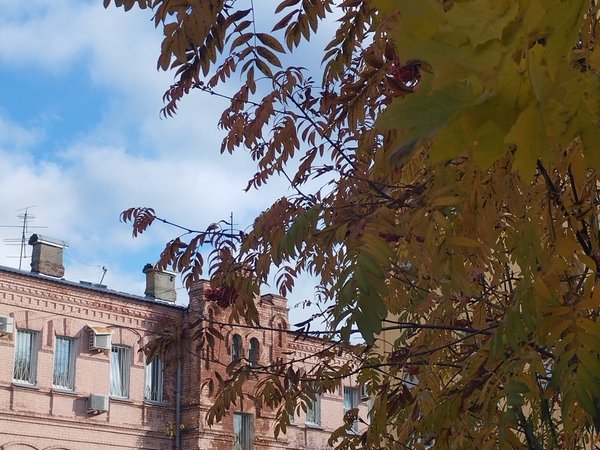 Владимир окраинный - фото 1