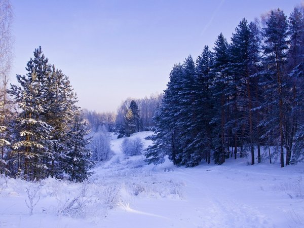 Легенды и были озера Светлояр - фото 2