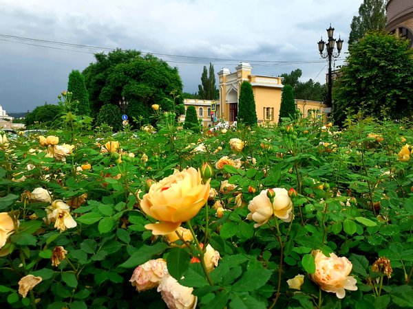 Экспресс-Кисловодск: проникнуться атмосферой города за 90 минут - фото 4