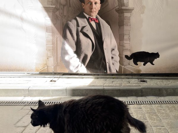 Бал у Булгакова: прогулка по страницам романа «Мастер и Маргарита» - фото 3