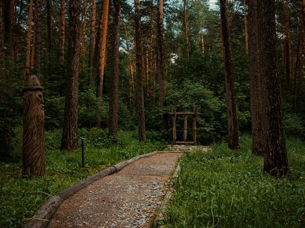Из Кемерово — в «Томскую Писаницу» + экспресс-обзорная по городу - фото 1