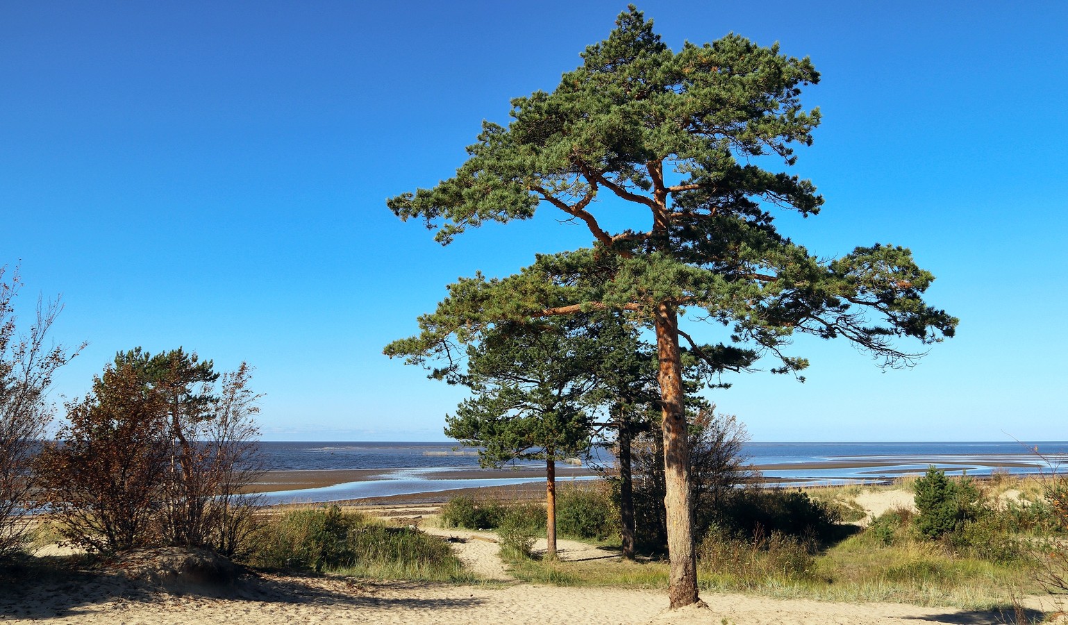 Северодвинск и Белое море