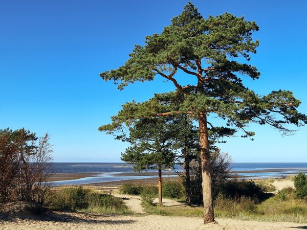 Северодвинск и Белое море - фото 4