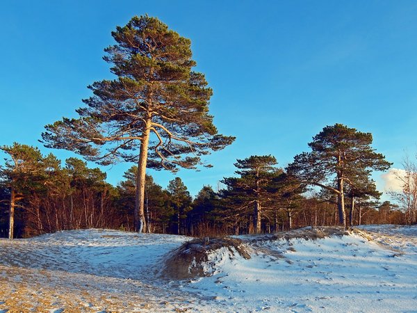 Северодвинск и Белое море - фото 3