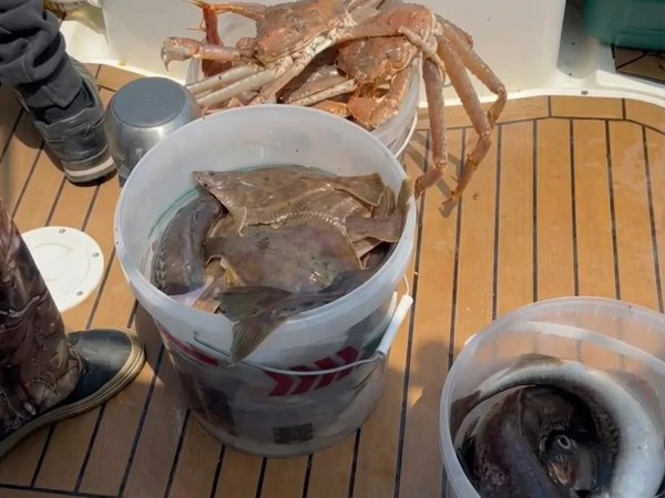 Рыбалка во Владивостоке и пикник на острове (всё включено) - фото 1
