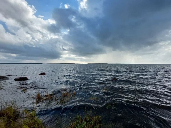 По Королевской дороге от Сестрорецка до Приморска - фото 1